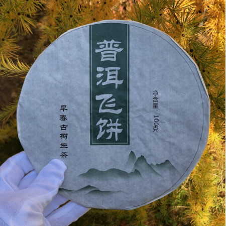 Шен Пуэр Фэй Пин тонкий блин 100 г 2012 год